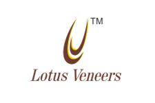 Lotus Veneers